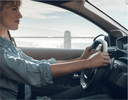 Volante SPORT DRIVE